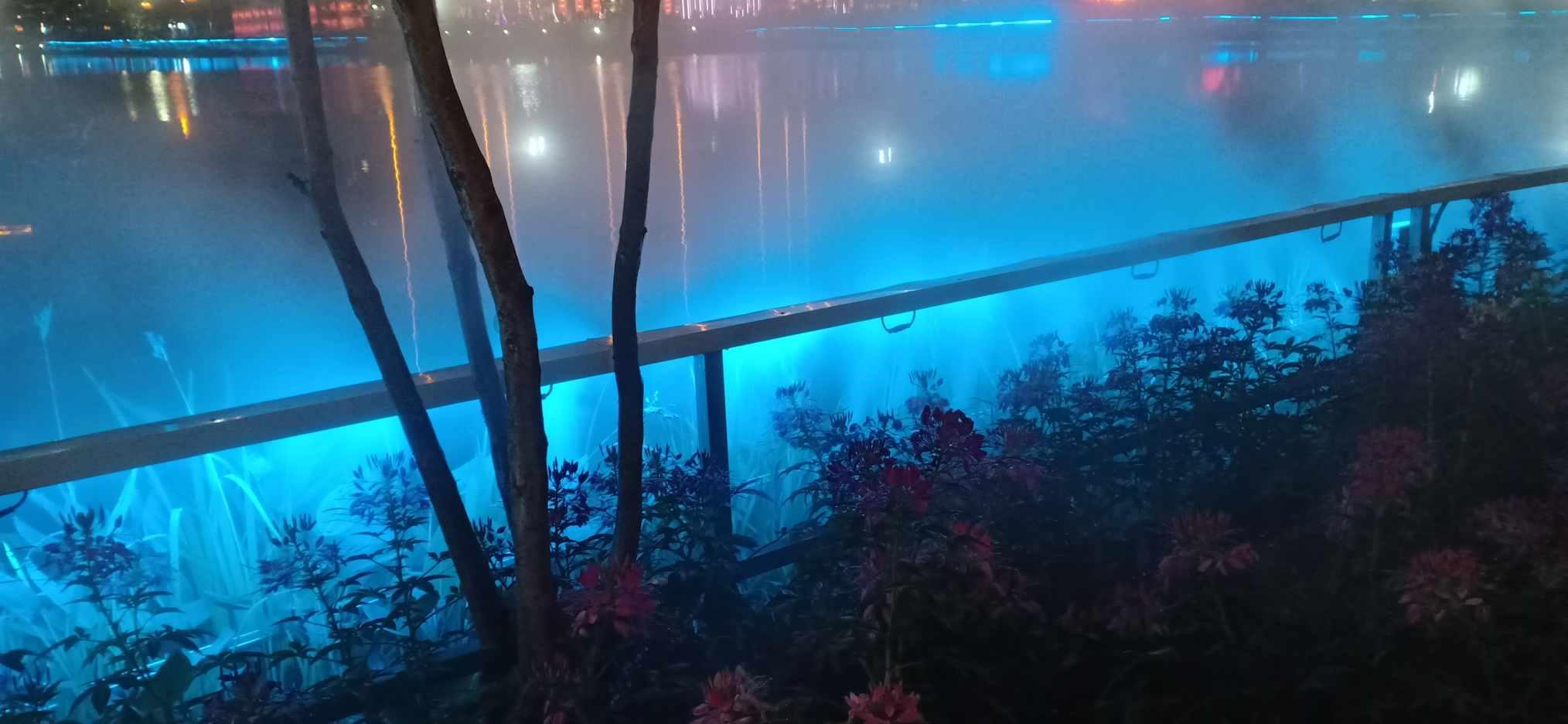 探索哪些动物可以像狗一样伸出舌头散热?知识问答平台,了解更多问题解答和知识分享